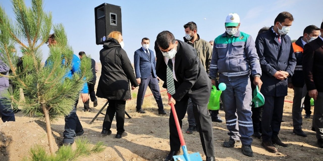 Şehitkamil’de milyonlarca metrekare yeşil alan oluşturuldu