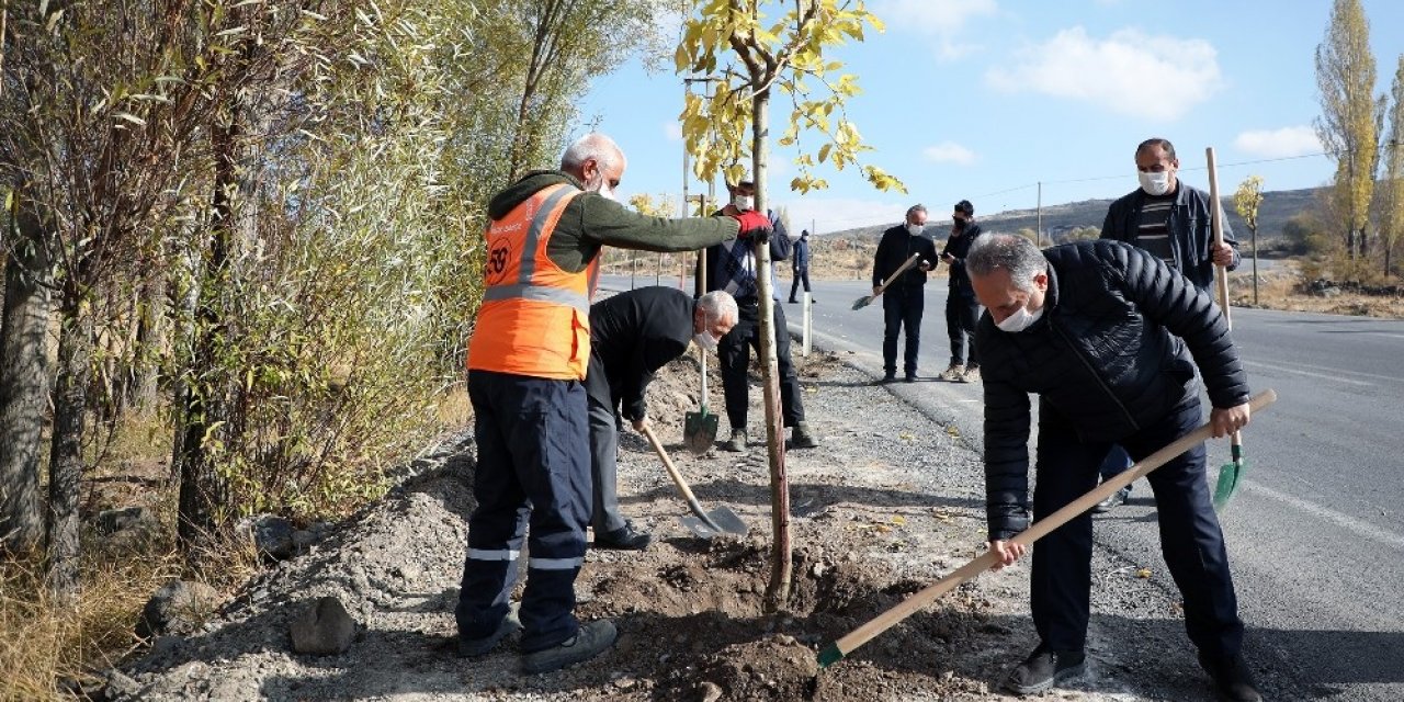 Başkan Yalçın: “Bugüne kadar 70 bin ağaç diktik”