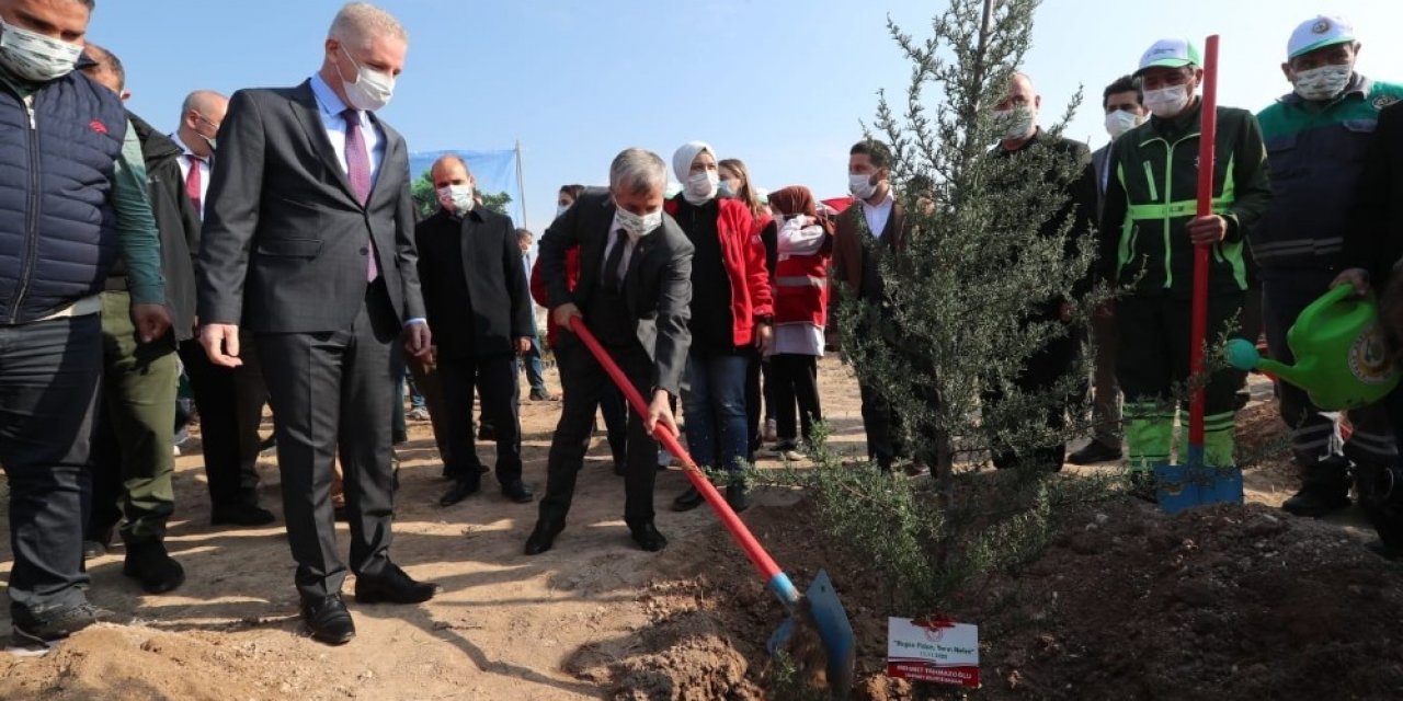 Gaziantep’te 4 milyon fidan toprakla buluştu