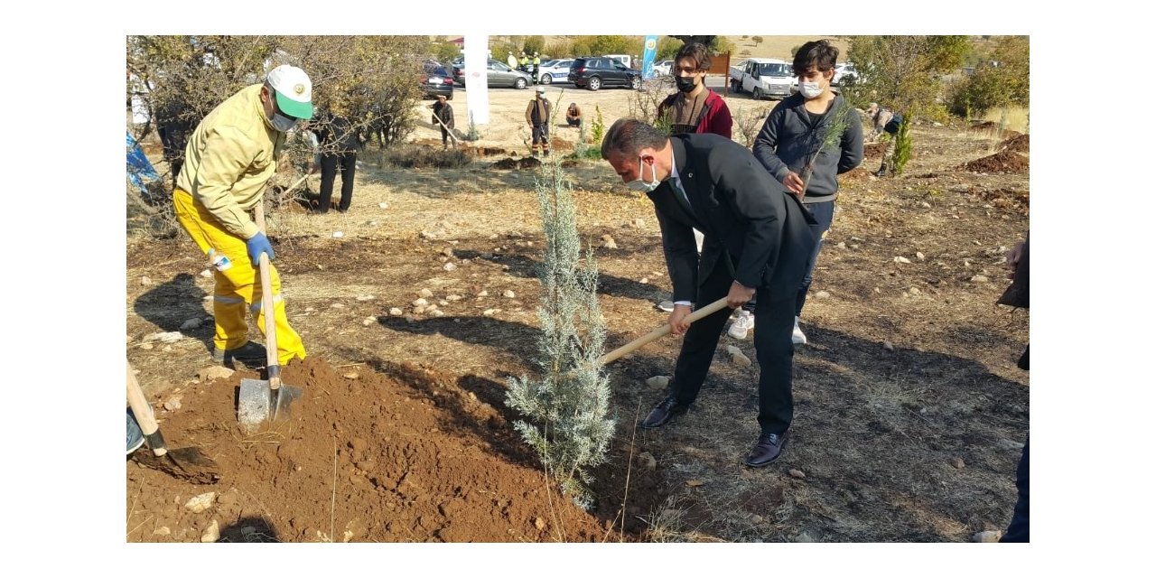 Gençler daha yeşil bir Türkiye için fidan dikti