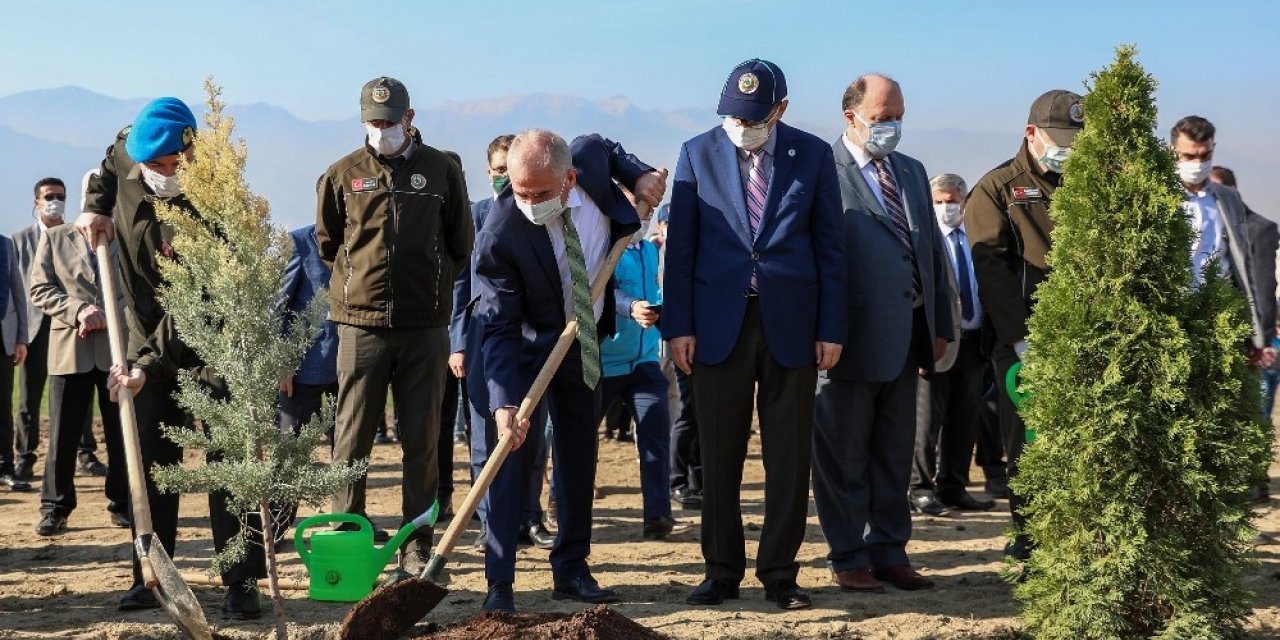 Denizli’de 31 bin 900 fidan toprakla buluşuyor