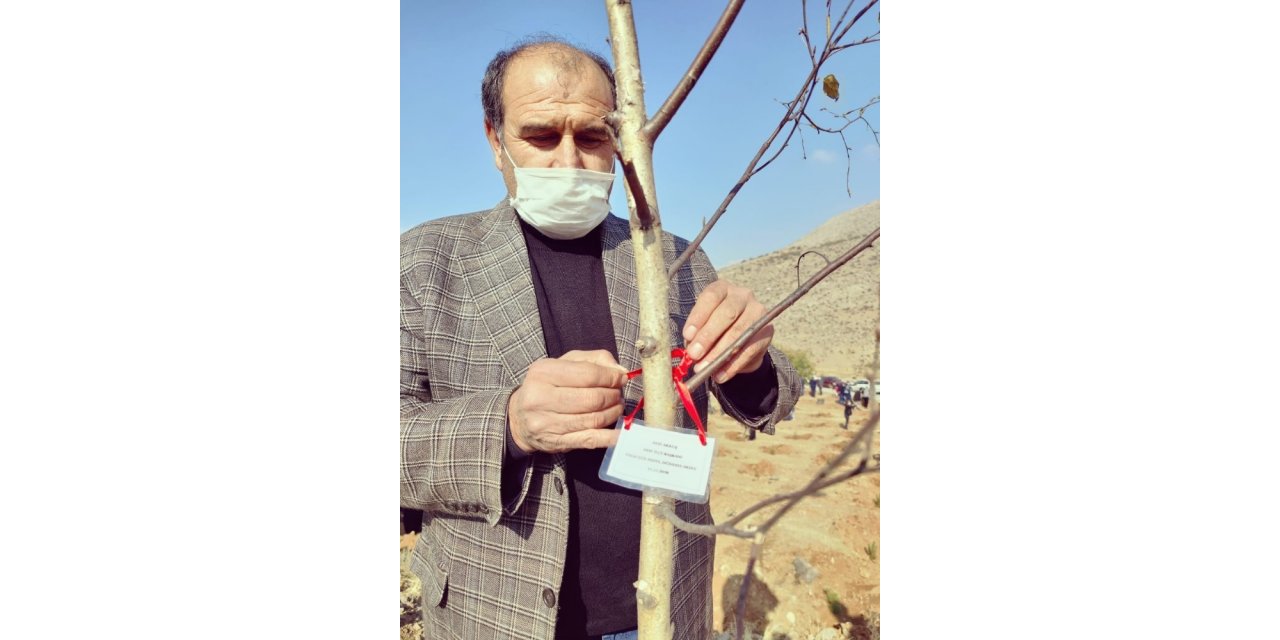 MHP Yahyalı ilçe teşkilatından ağaçlandırmaya destek