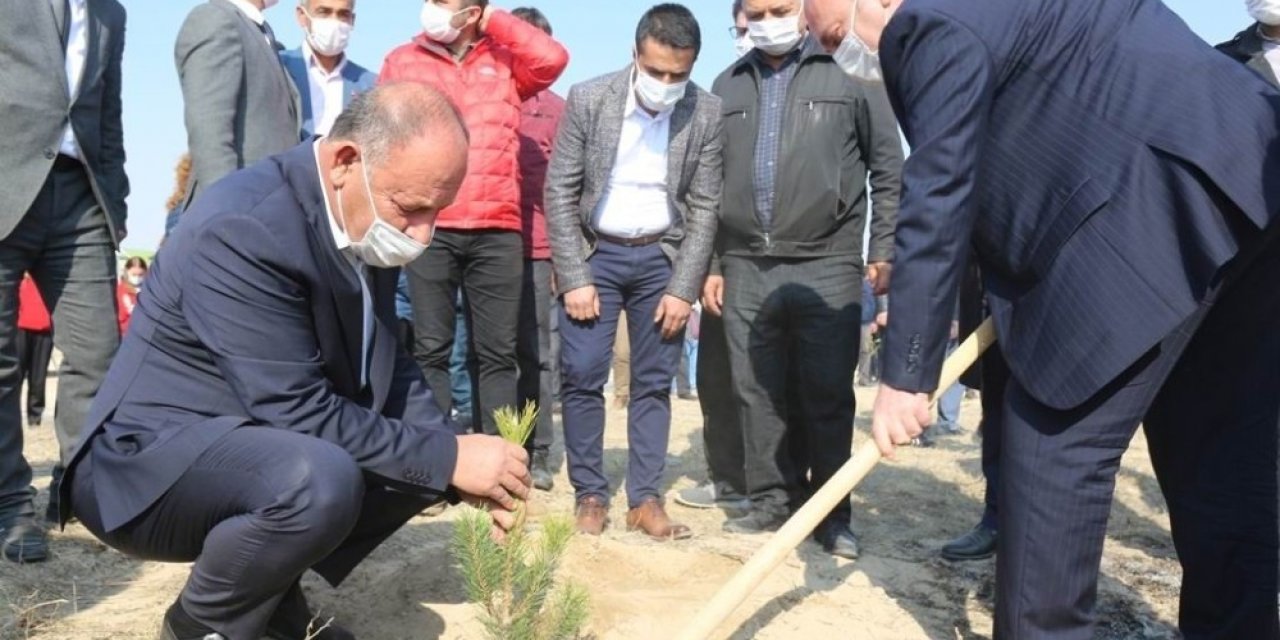 Ereğli Belediyesi binlerce fidanı toprakla buluşturdu