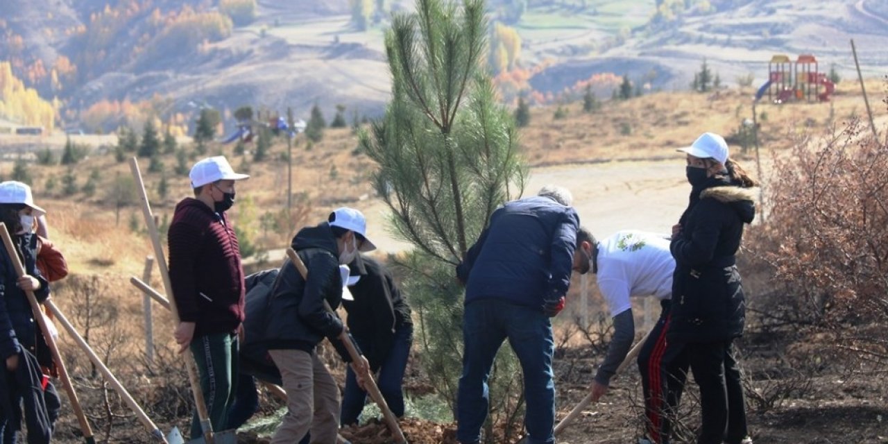 Bitlis’te fidan dikimi