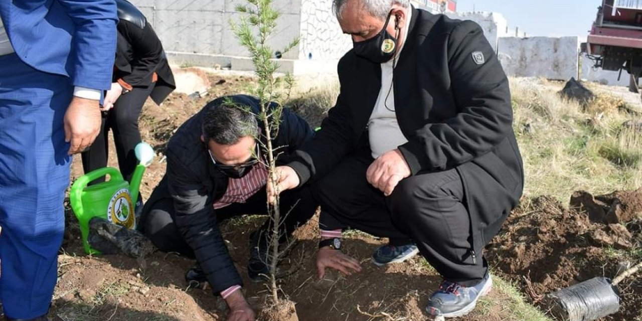 İscehisar’da 300 fidan dikildi