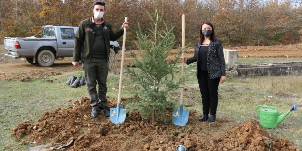 Pazaryeri’nde ’Milli Ağaçlandırma Günü’ etkinliği