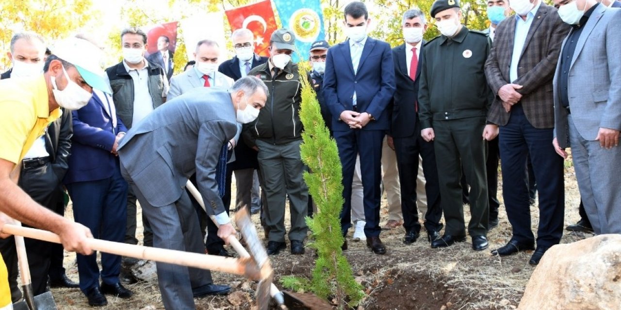 Adıyaman’da 82 bin ağaç fidan dikildi