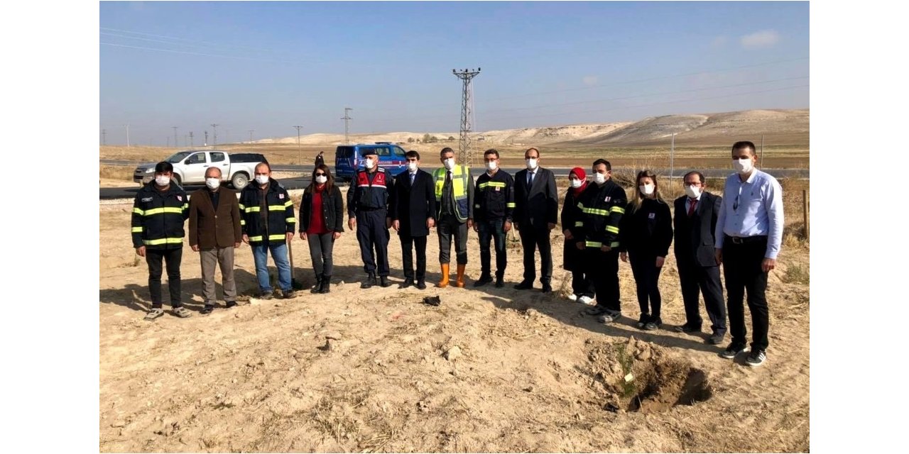 Sultanhanı ilçesinde fidanlar toprakla buluştu