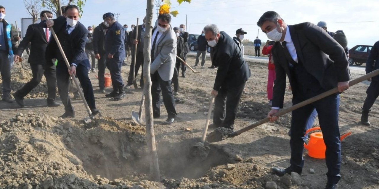 Akşehir Belediyesinden 200 ağaç fidanı