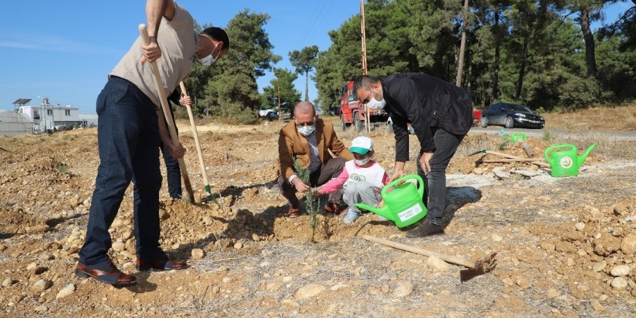 Aksu’da fidanlar toprakla buluştu