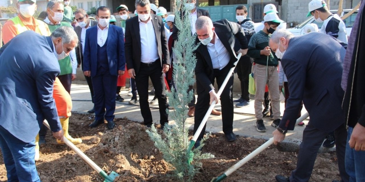 Kahta belediyesinden ağaç dikme etkinliği
