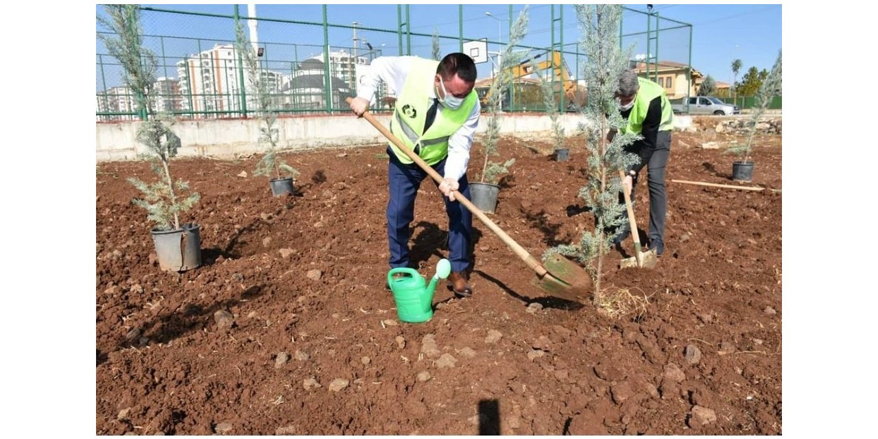 Yeşil Bağlar için fidanlar toprakla buluşturuldu