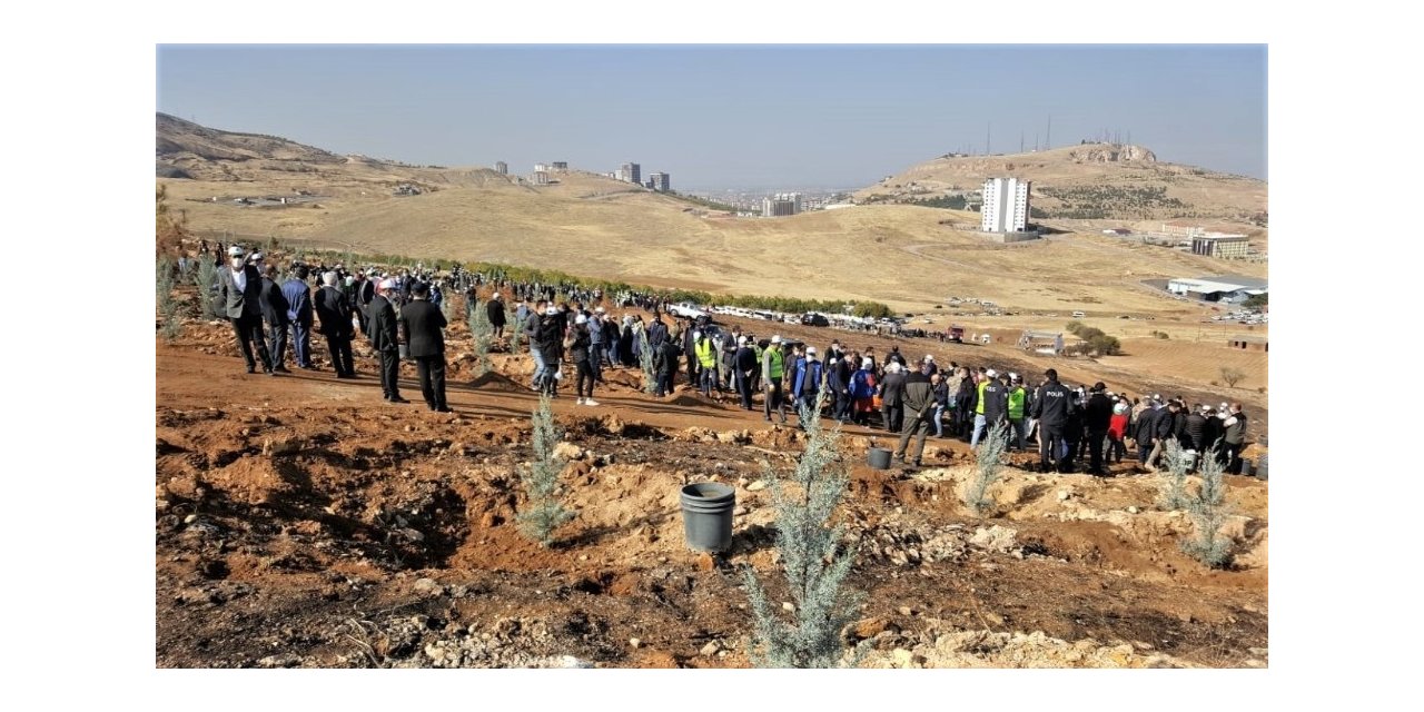 Malatya’da fidan dikimi