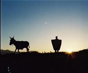 Emirgazi'de çobanlar eğitiliyor