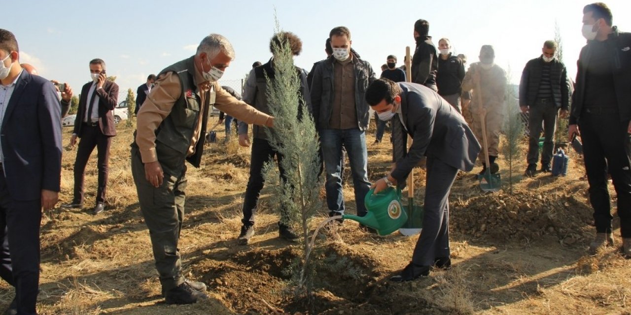 Kulp’ta bin fidan toprakla buluştu