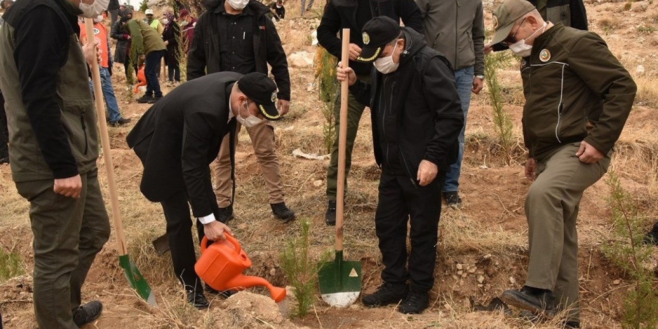 Karaman’da ağaçlandırma gününde 10 bin fidan toprakla buluştu