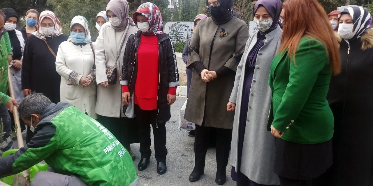 Milli Ağaçlandırma Günü’nde anlamlı fidan dikimi