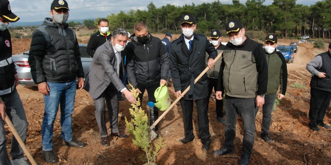 Bayramiç’te 10 bin fidan toprakla buluştu