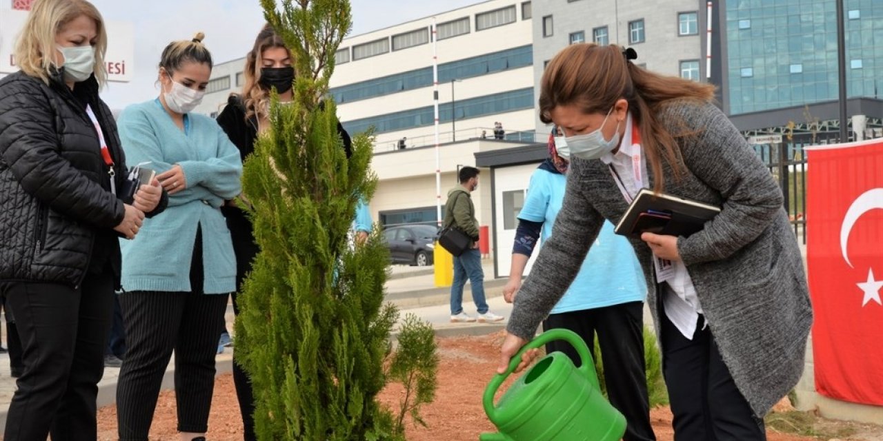 Bilecik’te ’’11 Kasım Milli Ağaçlandırma Günü’’nde 4 bin fidan toprakla buluştu