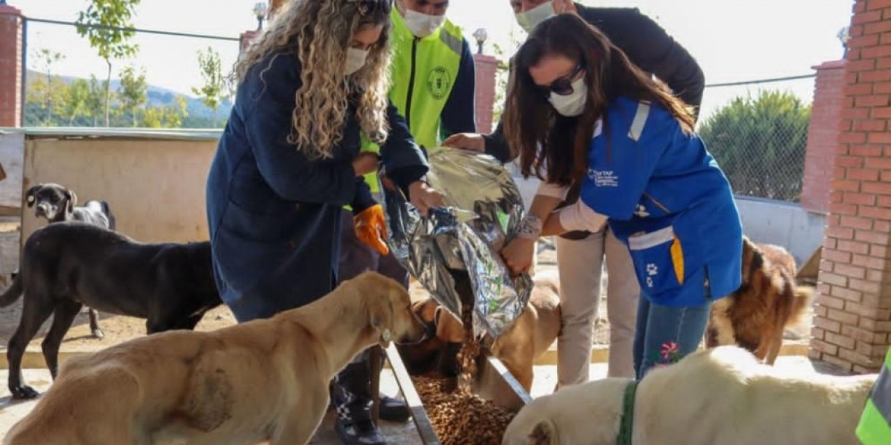 İzmir’deki can dostlar da unutulmadı