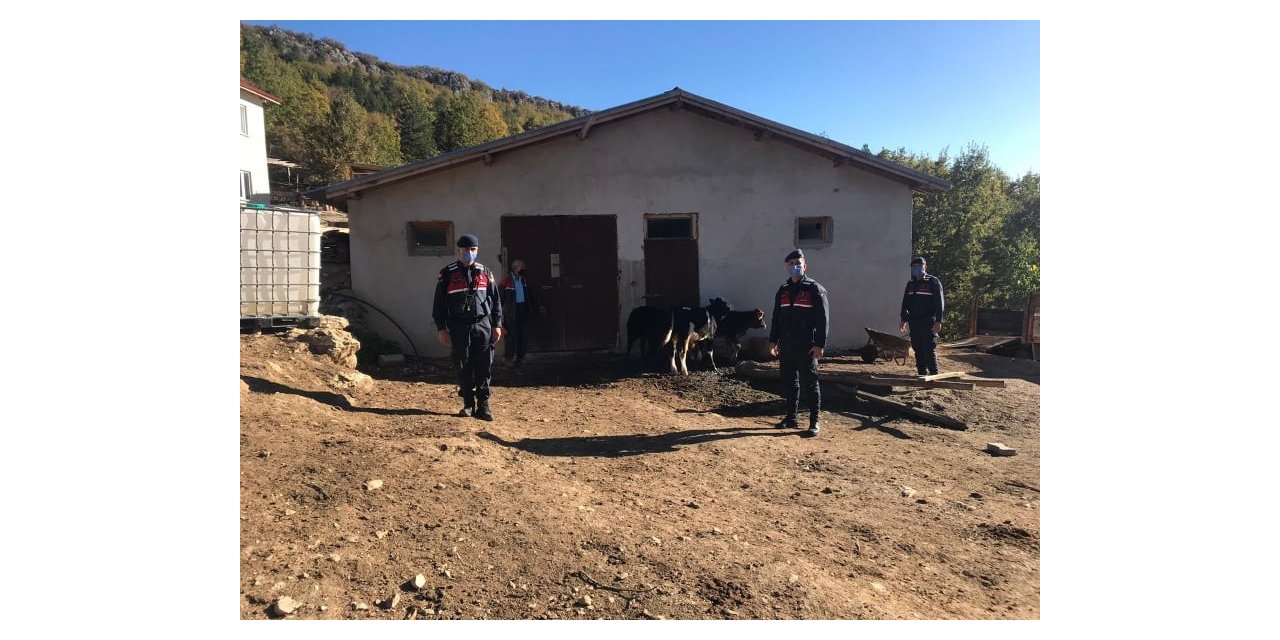 Kayıp koyunları jandarma drone ile buldu