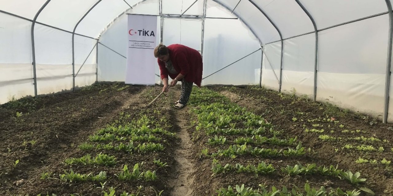 TİKA ile Bosnalı anneler tarımsal ekonomiye katkı sağlıyor