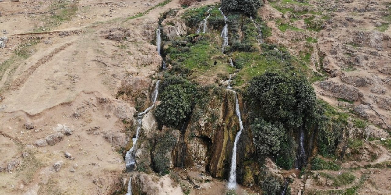 Kuraklığa boyun eğmeyen şelale