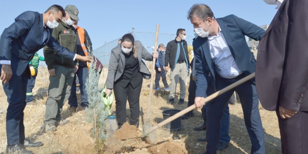 Besni’de fidan dikimi gerçekleştirildi