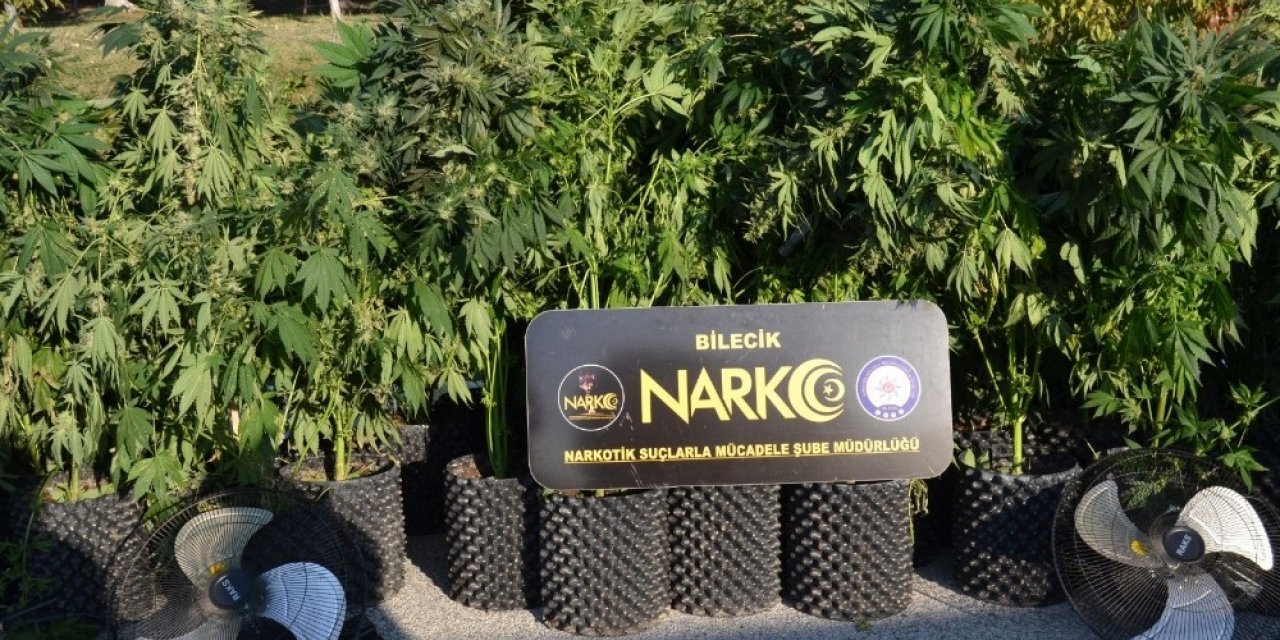 Bilecik’te 1 milyon liralık skunk maddesi ele geçirdi