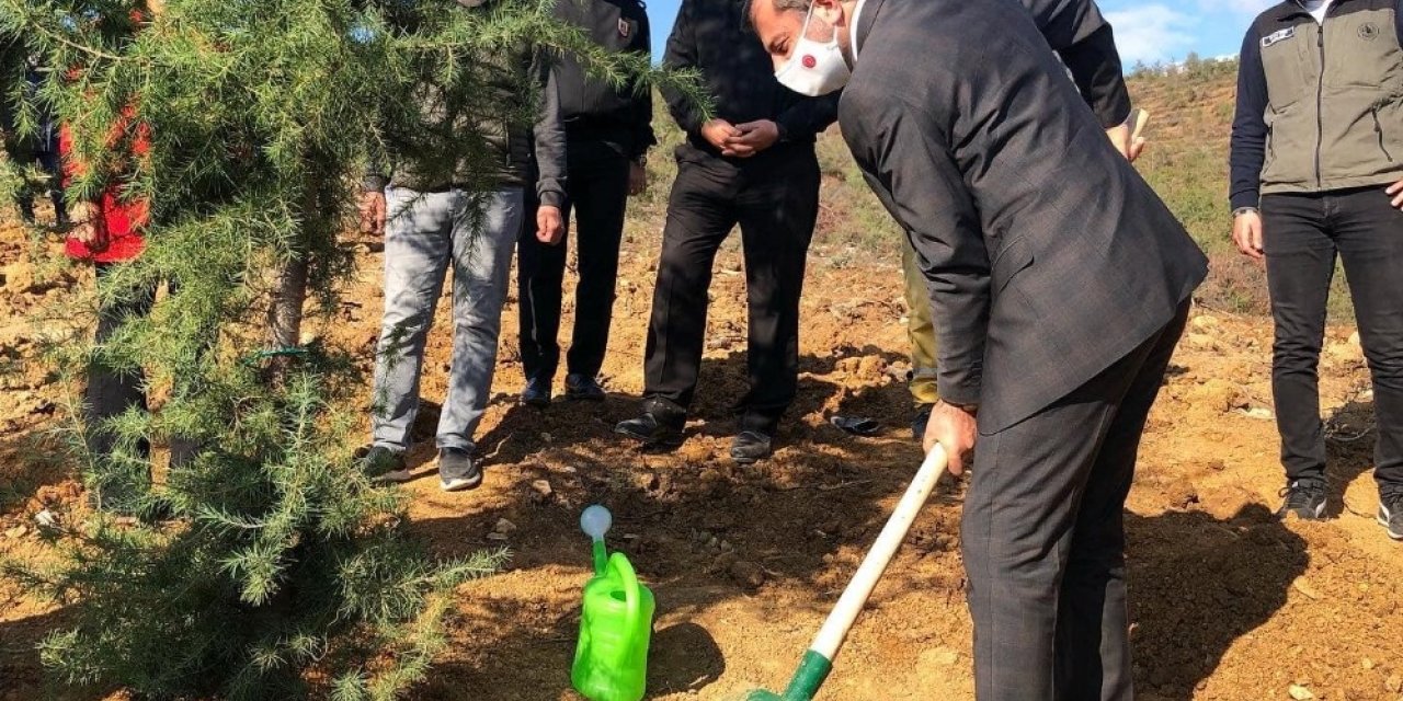 Gürsu’da fidanlar toprakla buluştu