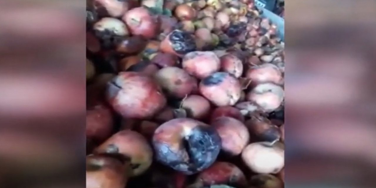 Gıdada bir skandal daha! Süt banyosundan sonra 'çürük elma' videosuna inceleme başlatıldı