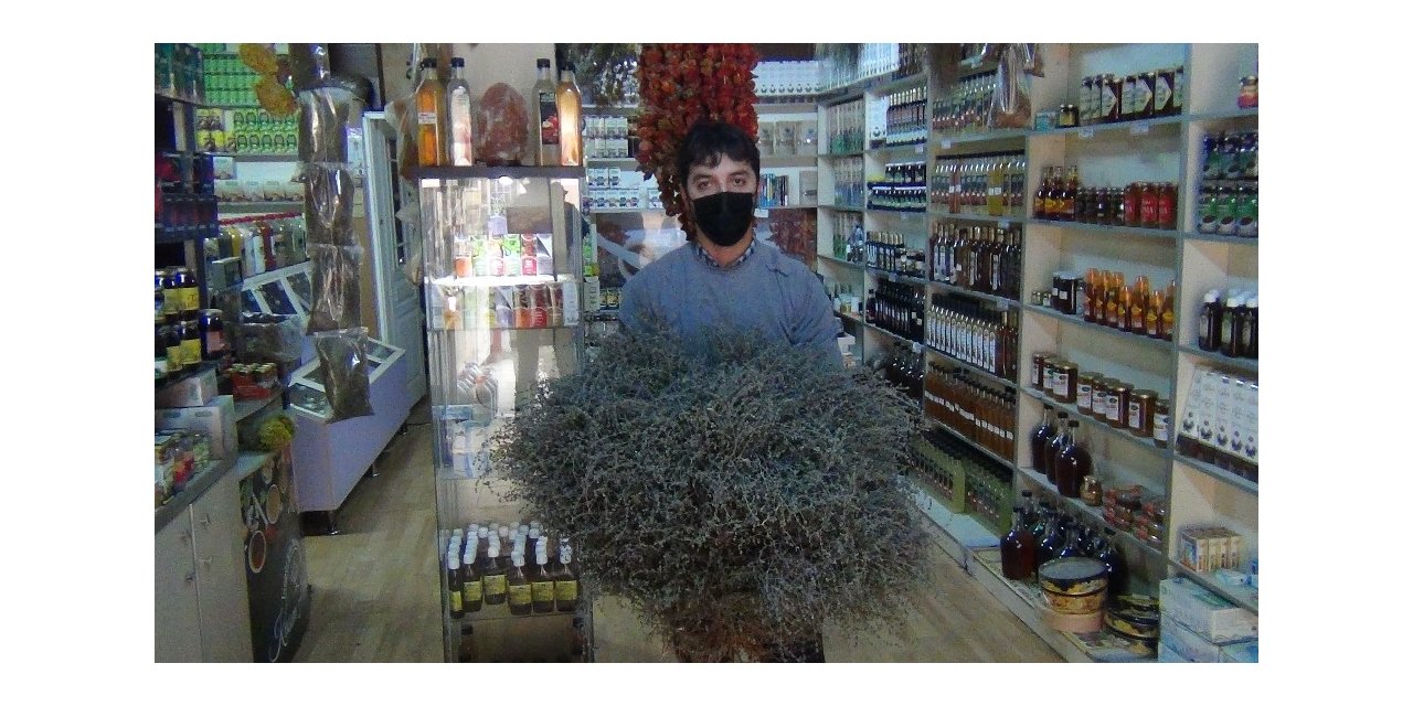 Korona kekiğe ilgiyi artırdı