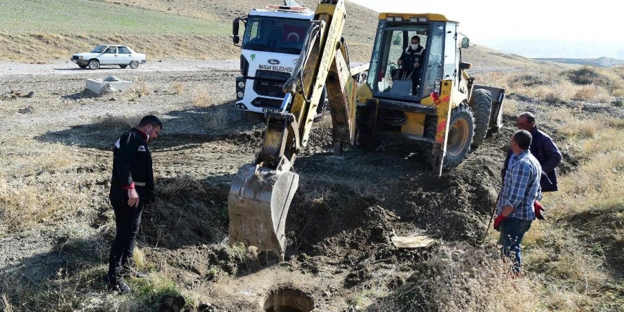 Foseptik çukuruna düşen eşek kurtarıldı