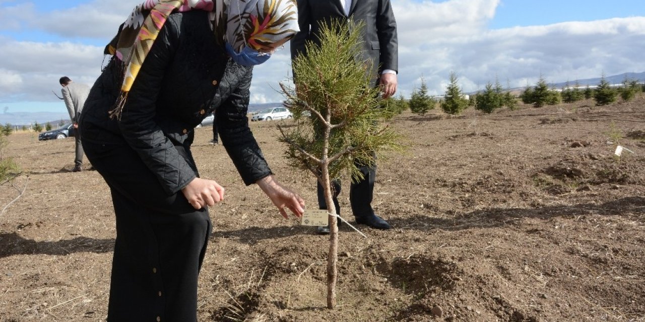 Her can için bir fidan