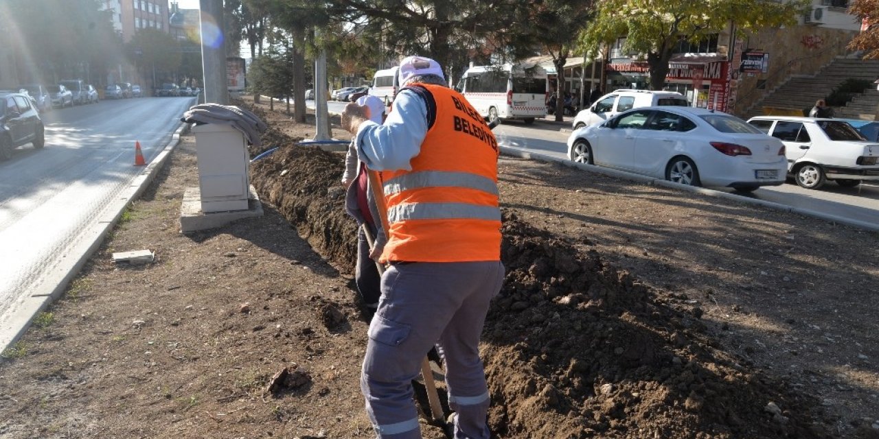 Çalışmalarla refüjler güzelleşecek