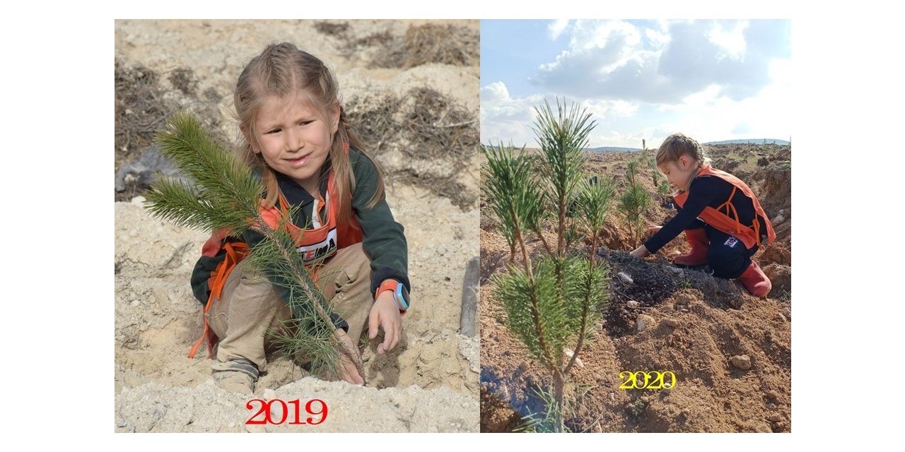 8’inci yaş gününü fidan dikerek kutladı