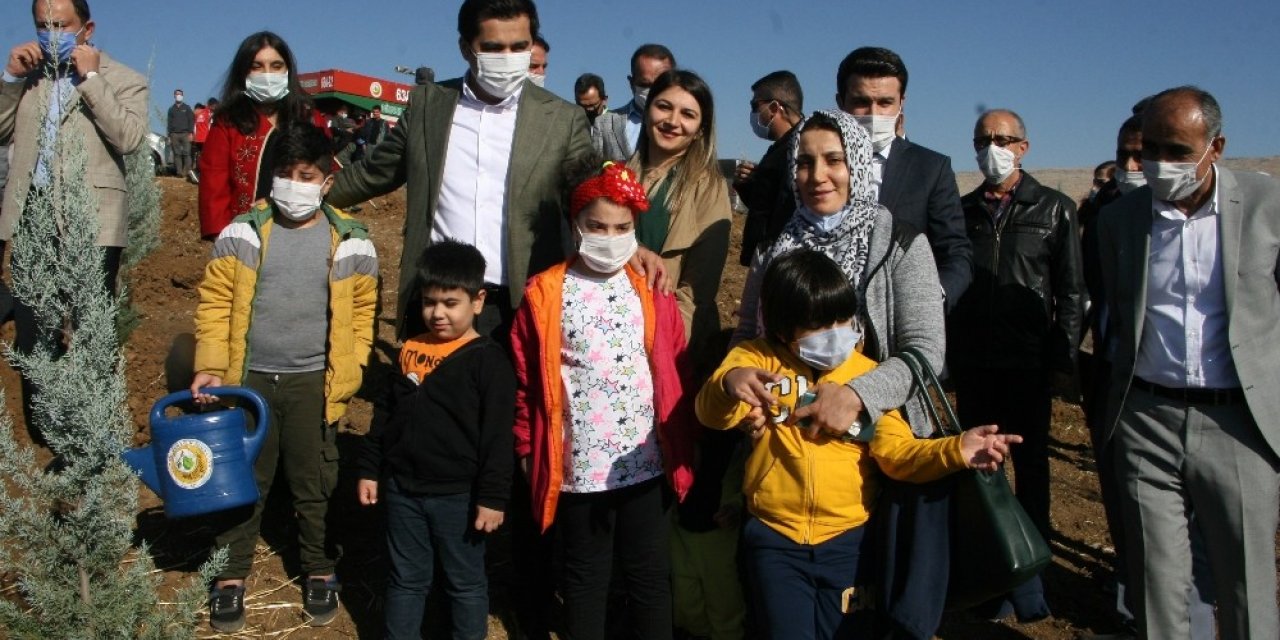 Silvan’da 40 bin fidan dikildi