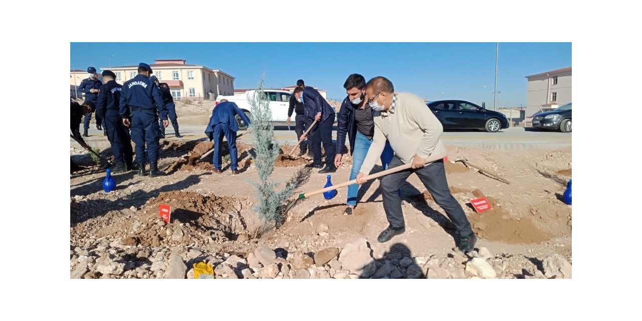 Akçadağ’da bin adet fidan toprakla buluştu