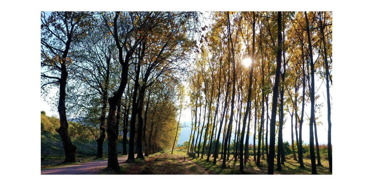 Bu yoldan geçen bir daha geliyor