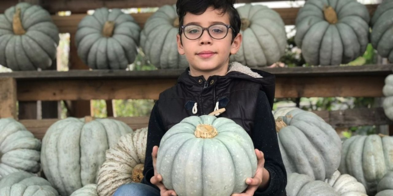 Türkiye’nin her bölgesinde büyük ilgi görüyor