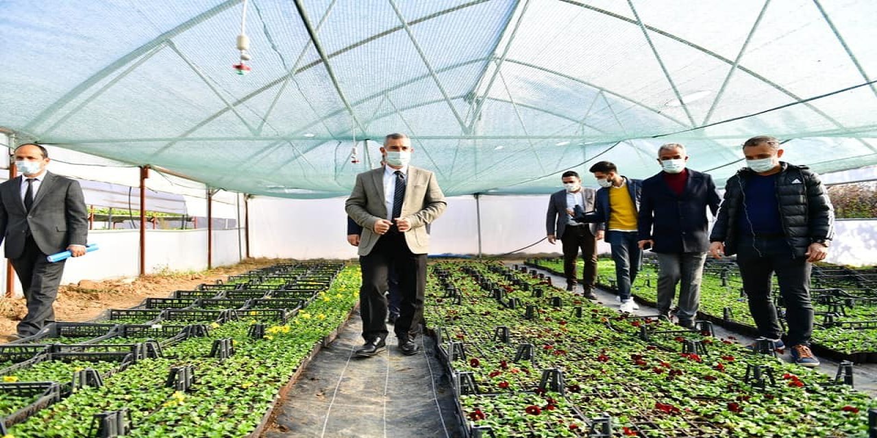 Yeşilyurt Belediye, kendi çiçeğini üretiyor