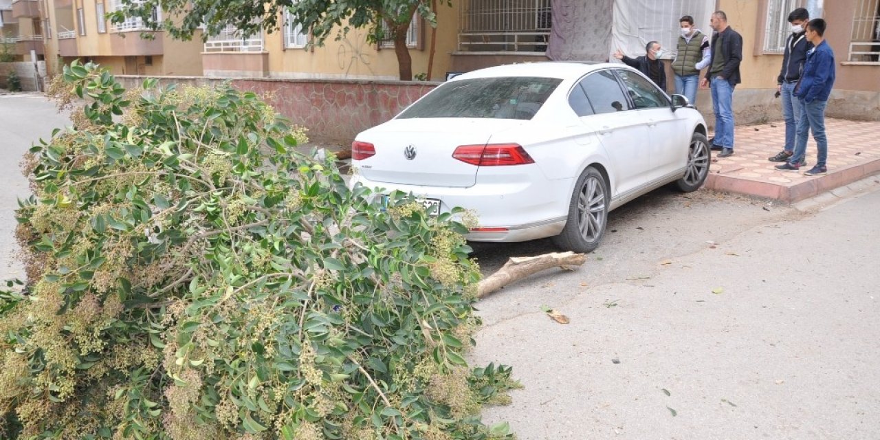 Otomobilin altında kalmaktan son anda kurtuldular