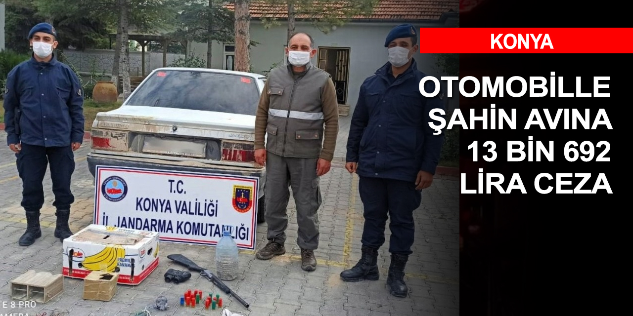 Konya'da canlı mühreli şahin avı pahalıya patladı! Ceza yetmedi otomobil de kamulaştırıldı