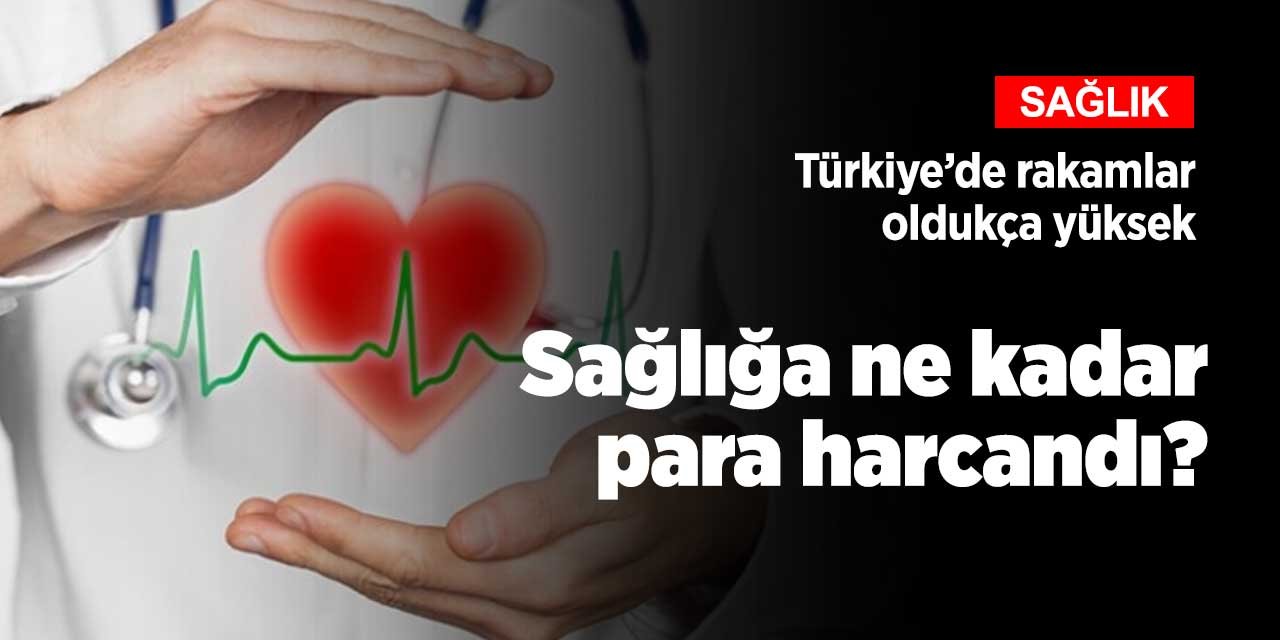 Türkiye'de sağlığa ne kadar para harcandığı ortaya çıktı!