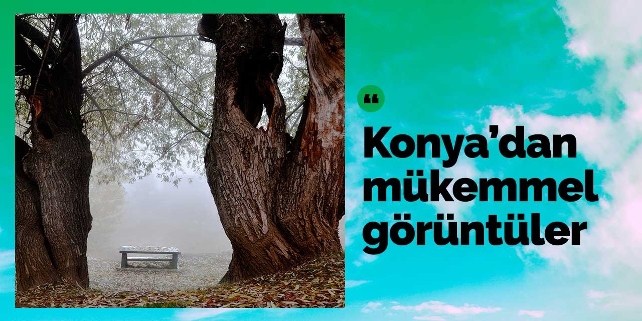 Konya'ya yağan kar ve gelen sonbahardan mükemmel görüntüler objektiflere yansıdı