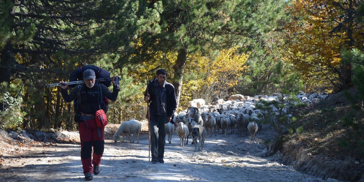 Yörükler'in göç rotalarını kayıt altına almak için yürüyerek GPRS ile iz haritaları yapıyor