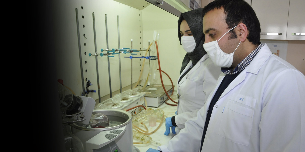 Selçuk Üniversitesi tıbbi bitkileri analiz ediyor