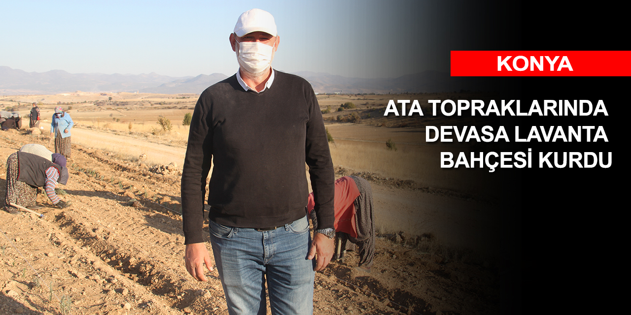 Turizmciydi! Konya'daki ata topraklarına dönerek devasa lavanta bahçesi kurdu