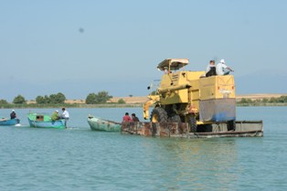 Beyşehir Göl'ünde yüzen biçerdöver
