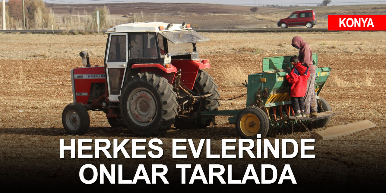 Konya'da çiftçiler salgında da kısıtlamalarda da tarlada